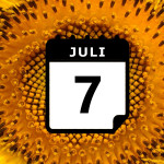Vacanze in Luglio