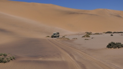 Namib (Alexander Mirschel)  Copyright 
Informazioni sulla licenza disponibili sotto 'Prova delle fonti di immagine'