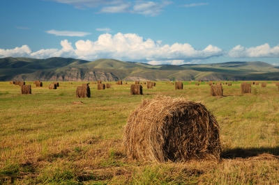 15/365 - Haystacks (Olga Filonenko)  [flickr.com]  CC BY-SA 
Informazioni sulla licenza disponibili sotto 'Prova delle fonti di immagine'