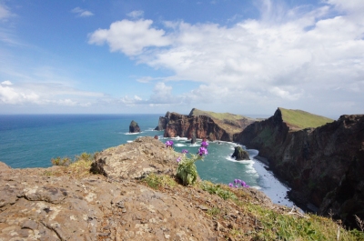 2011-03-05 03-13 Madeira 705 Ponta de São Lourenço (Allie_Caulfield)  [flickr.com]  CC BY 
Informazioni sulla licenza disponibili sotto 'Prova delle fonti di immagine'