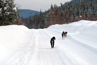 Informazioni sulla climatizzazione Siberia