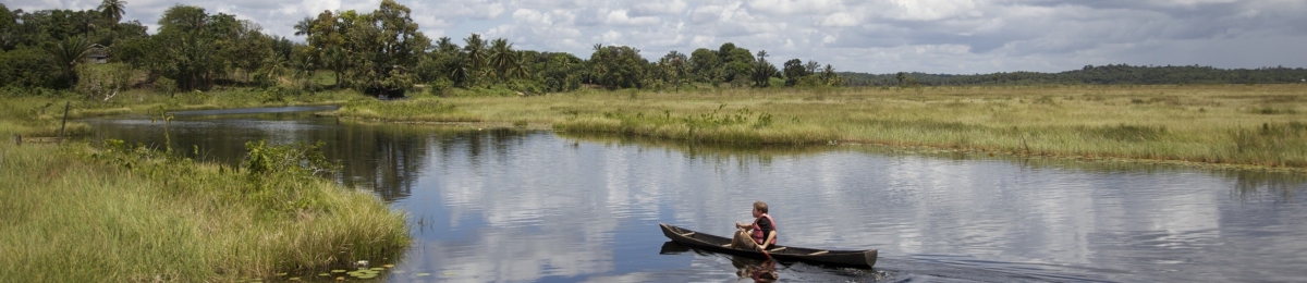 Guyana Panorama (Public Domain / Pixabay) Public Domain
Informazioni sulla licenza disponibili sotto 'Prova delle fonti di immagine' Guyana Panorama (Public Domain / Pixabay) Public Domain
Informazioni sulla licenza disponibili sotto 'Prova delle fonti di immagine'