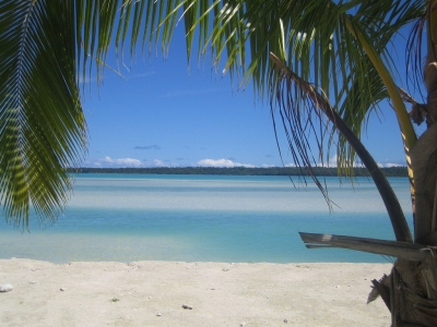 Aitutaki Lagoon (Benedict Adam)  [flickr.com]  CC BY 
Informazioni sulla licenza disponibili sotto 'Prova delle fonti di immagine'