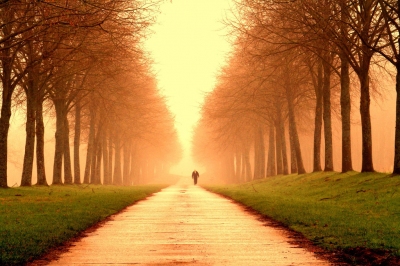 Alone in the fog (jucanils)  [flickr.com]  CC BY 
Informazioni sulla licenza disponibili sotto 'Prova delle fonti di immagine'