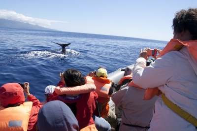 Azores_7255 (Luca Nebuloni)  [flickr.com]  CC BY 
Informazioni sulla licenza disponibili sotto 'Prova delle fonti di immagine'