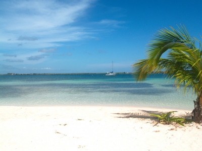 Bando's Beach -  Utila (René Mayorga)  [flickr.com]  CC BY-SA 
Informazioni sulla licenza disponibili sotto 'Prova delle fonti di immagine'