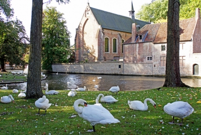 Belgium-6112 - Minnewater (Dennis Jarvis)  [flickr.com]  CC BY-SA 
Informazioni sulla licenza disponibili sotto 'Prova delle fonti di immagine'