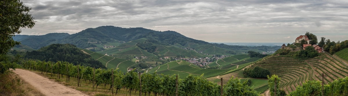 Blick übers Durbachtal (Schwarzwert Naturfotografie)  [flickr.com]  CC BY 
Informazioni sulla licenza disponibili sotto 'Prova delle fonti di immagine'