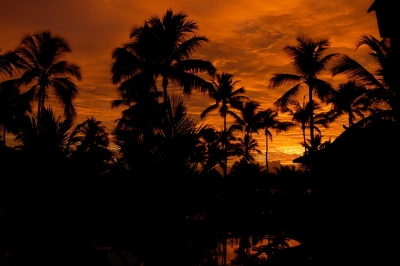 Brasil... sunrise. (M.J.Ambriola)  [flickr.com]  CC BY-SA 
Informazioni sulla licenza disponibili sotto 'Prova delle fonti di immagine'