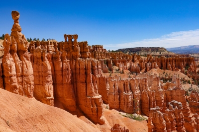 Bryce Trails-47 (Susan Ruggles)  [flickr.com]  CC BY 
Informazioni sulla licenza disponibili sotto 'Prova delle fonti di immagine'