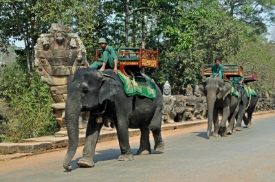 Cambodia-2410 - Angkor Thom's Taxi !! (Dennis Jarvis)  [flickr.com]  CC BY-SA 
Informazioni sulla licenza disponibili sotto 'Prova delle fonti di immagine'