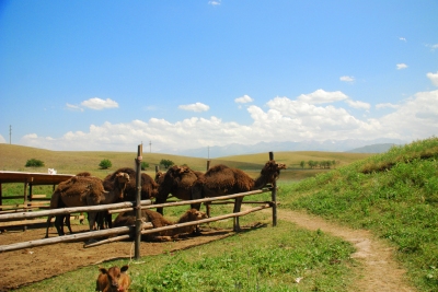 Informazioni sulla climatizzazione Kazakistan