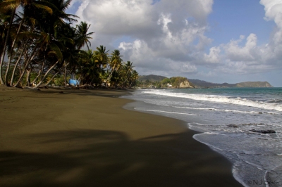 Carapuse Bay, Tobago (neiljs)  [flickr.com]  CC BY 
Informazioni sulla licenza disponibili sotto 'Prova delle fonti di immagine'