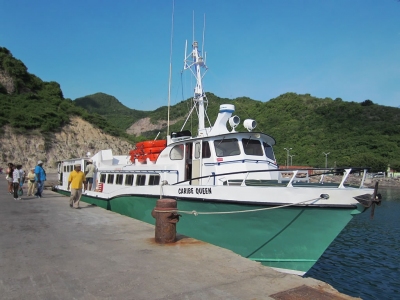 Caribe Queen (David Stanley)  [flickr.com]  CC BY 
Informazioni sulla licenza disponibili sotto 'Prova delle fonti di immagine'