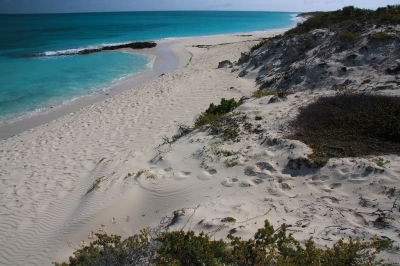 Cuba - Cayo Santa Maria (Michele Testini)  [flickr.com]  CC BY-ND 
Informazioni sulla licenza disponibili sotto 'Prova delle fonti di immagine'