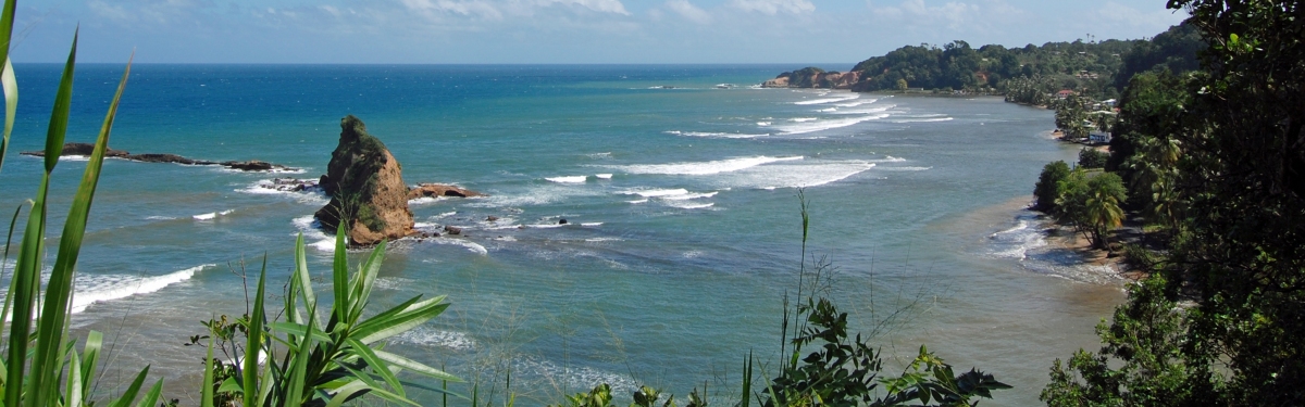 Dominica Coastline (Ken Bosma)  [flickr.com]  CC BY 
Informazioni sulla licenza disponibili sotto 'Prova delle fonti di immagine'