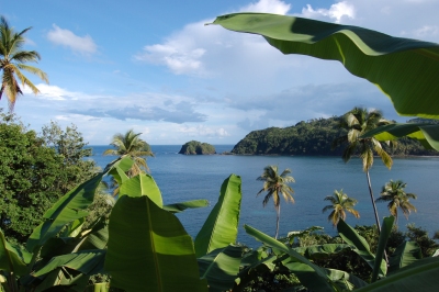 Dominica_0610 (Ken Bosma)  [flickr.com]  CC BY 
Informazioni sulla licenza disponibili sotto 'Prova delle fonti di immagine'
