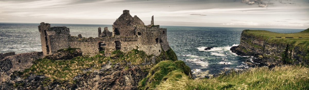 Dunluce Castle (Daragh Burns)  [flickr.com]  CC BY 
Informazioni sulla licenza disponibili sotto 'Prova delle fonti di immagine'