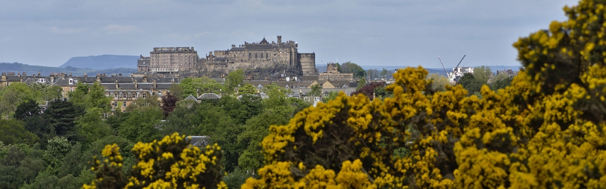 Edinburgh Castle (Magnus Hagdorn)  [flickr.com]  CC BY-SA 
Informazioni sulla licenza disponibili sotto 'Prova delle fonti di immagine'
