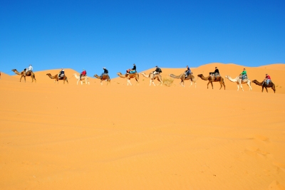 Erg Chebbi (just_a_cheeseburger)  [flickr.com]  CC BY 
Informazioni sulla licenza disponibili sotto 'Prova delle fonti di immagine'