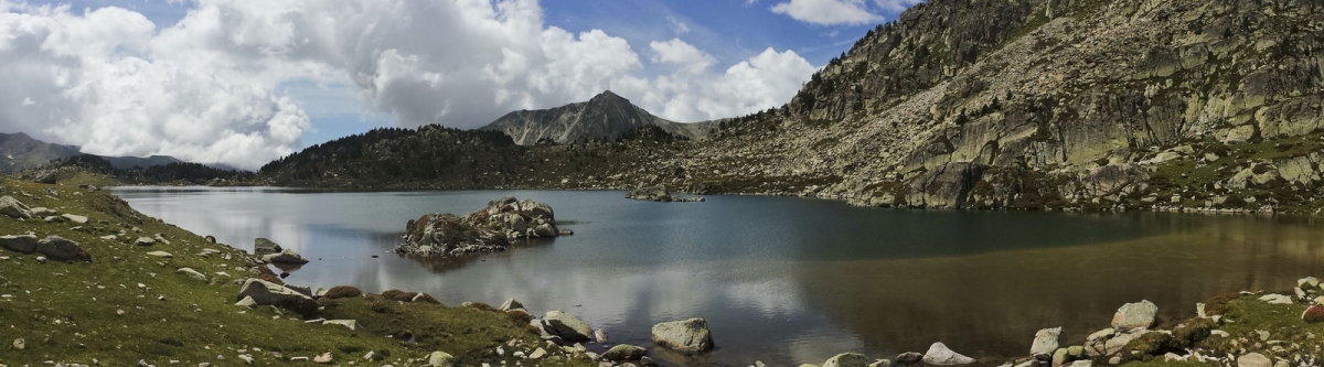 ESTANY DE MONTMALUS 000 (Ferran Llorens)  [flickr.com]  CC BY-SA 
Informazioni sulla licenza disponibili sotto 'Prova delle fonti di immagine'