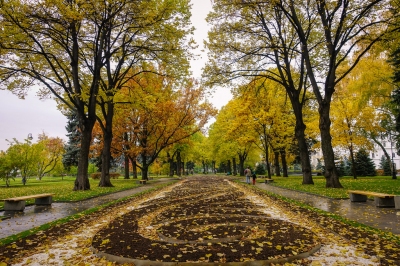 fall foliage in Moscow (Brandon)  [flickr.com]  CC BY 
Informazioni sulla licenza disponibili sotto 'Prova delle fonti di immagine'