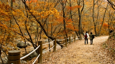 Fall, Korea (PlaneMad)  [flickr.com]  CC BY-SA 
Informazioni sulla licenza disponibili sotto 'Prova delle fonti di immagine'