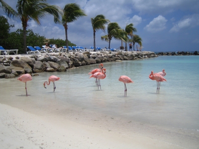 Informazioni sulla climatizzazione Aruba