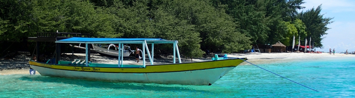 Gili Trawangan, Indonesia (SarahTz)  [flickr.com]  CC BY 
Informazioni sulla licenza disponibili sotto 'Prova delle fonti di immagine'