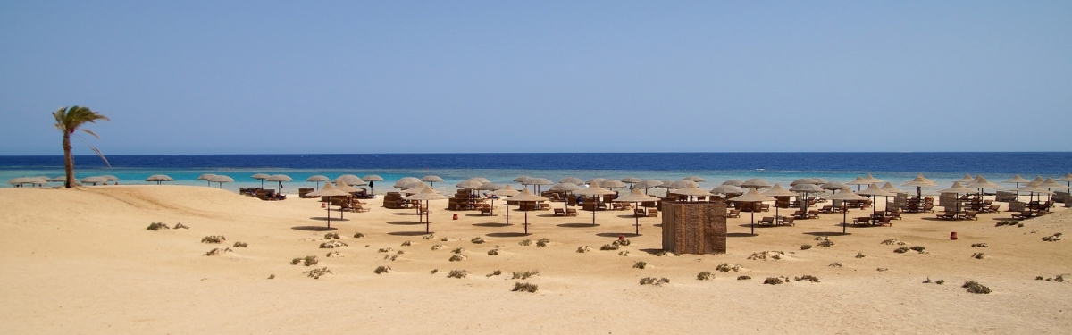 GORGONIA BEACH RESORT Marsa Alam (Mathias Apitz (München))  [flickr.com]  CC BY-ND 
Informazioni sulla licenza disponibili sotto 'Prova delle fonti di immagine'