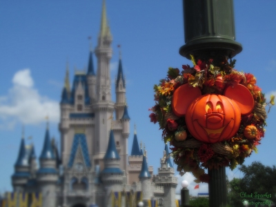 Halloween Decoration (Chad Sparkes)  [flickr.com]  CC BY 
Informazioni sulla licenza disponibili sotto 'Prova delle fonti di immagine'