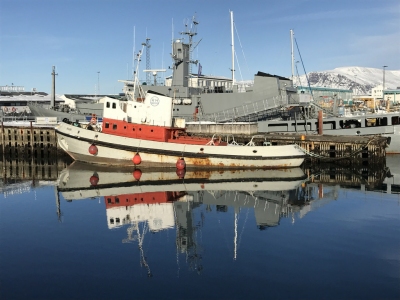 Iceland 2017 (Kyle Taylor)  [flickr.com]  CC BY 
Informazioni sulla licenza disponibili sotto 'Prova delle fonti di immagine'