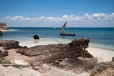 Island of Mozambique (Stig Nygaard)  [flickr.com]  CC BY 
Informazioni sulla licenza disponibili sotto 'Prova delle fonti di immagine'