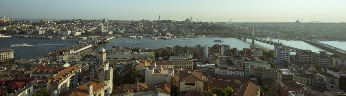 Istanbul skyline (Alexander Cahlenstein)  [flickr.com]  CC BY 
Informazioni sulla licenza disponibili sotto 'Prova delle fonti di immagine'