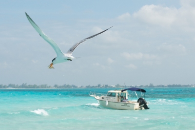 Anteprima: Isole Cayman - Quando andare?