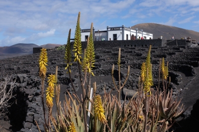 Preview: Lanzarote - Cosa visitare?