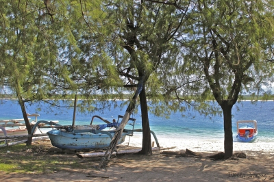 Lombok, Indonesia (Ivetta Inaray)  [flickr.com]  CC BY 
Informazioni sulla licenza disponibili sotto 'Prova delle fonti di immagine'