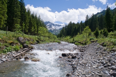 Mountain stream (Clemens v. Vogelsang)  [flickr.com]  CC BY 
Informazioni sulla licenza disponibili sotto 'Prova delle fonti di immagine'