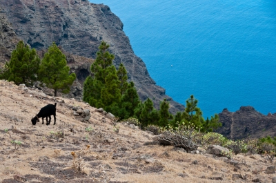 Anteprima: La Gomera - Quando andare?