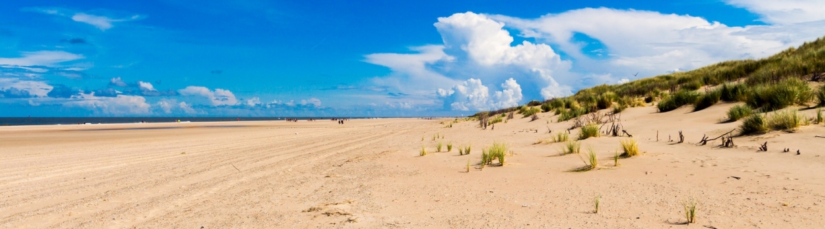 Norderney 2014 (Volt2011)  [flickr.com]  CC BY-SA 
Informazioni sulla licenza disponibili sotto 'Prova delle fonti di immagine'