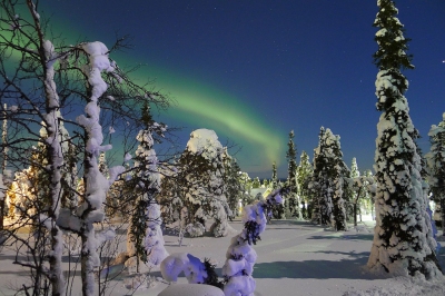 Northern Lights (Timo Newton-Syms)  [flickr.com]  CC BY-SA 
Informazioni sulla licenza disponibili sotto 'Prova delle fonti di immagine'