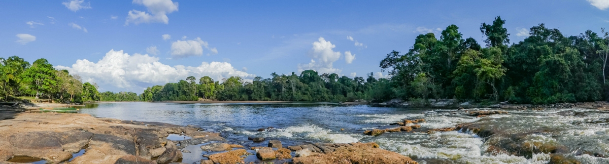 Panoramic view of the Suriname river near Gunsi (-JvL-)  [flickr.com]  CC BY 
Informazioni sulla licenza disponibili sotto 'Prova delle fonti di immagine'