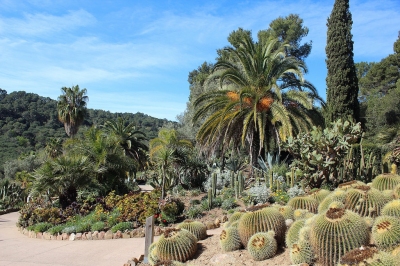 Pinya de Rosa (Albert Torelló)  [flickr.com]  CC BY-SA 
Informazioni sulla licenza disponibili sotto 'Prova delle fonti di immagine'