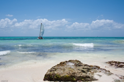 Playa Del Carmen - Mexico-15 (Christopher William Adach)  [flickr.com]  CC BY-SA 
Informazioni sulla licenza disponibili sotto 'Prova delle fonti di immagine'