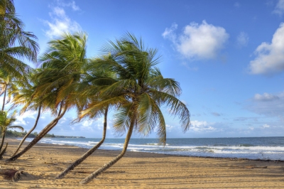Puerto Rico Beach Scene (Joshua Siniscal)  [flickr.com]  CC BY-ND 
Informazioni sulla licenza disponibili sotto 'Prova delle fonti di immagine'