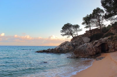 Racons de la Costa Brava (Albert Torelló)  [flickr.com]  CC BY-SA 
Informazioni sulla licenza disponibili sotto 'Prova delle fonti di immagine'