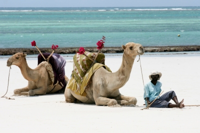 Informazioni sulla climatizzazione Spiaggia Diani