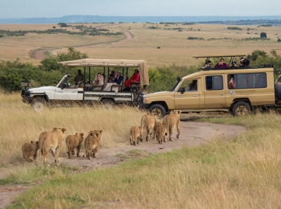 Anteprima: Serengeti - Quando andare?
