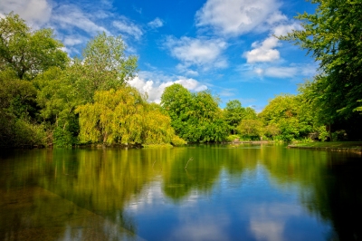 Saint Stephen's Green - HDR (Nicolas Raymond)  [flickr.com]  CC BY 
Informazioni sulla licenza disponibili sotto 'Prova delle fonti di immagine'