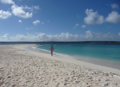 Sandy Island, Anguilla, March 2011 (alljengi)  [flickr.com]  CC BY-SA 
Informazioni sulla licenza disponibili sotto 'Prova delle fonti di immagine'